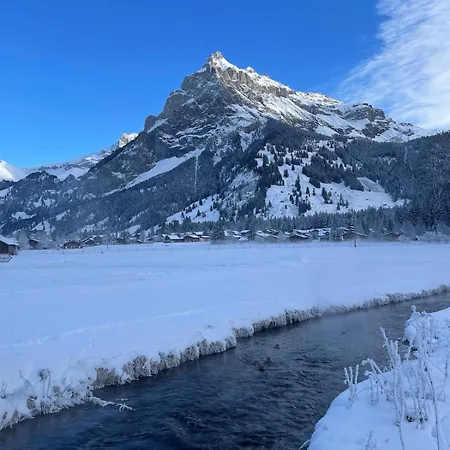 Cute In Apartment Kandersteg