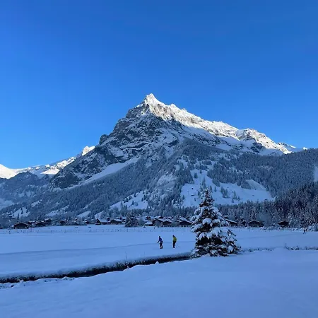 Cute In Apartment Kandersteg