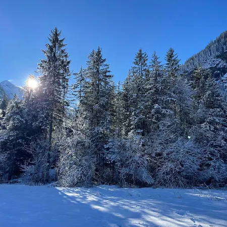 Διαμέρισμα Cute In *