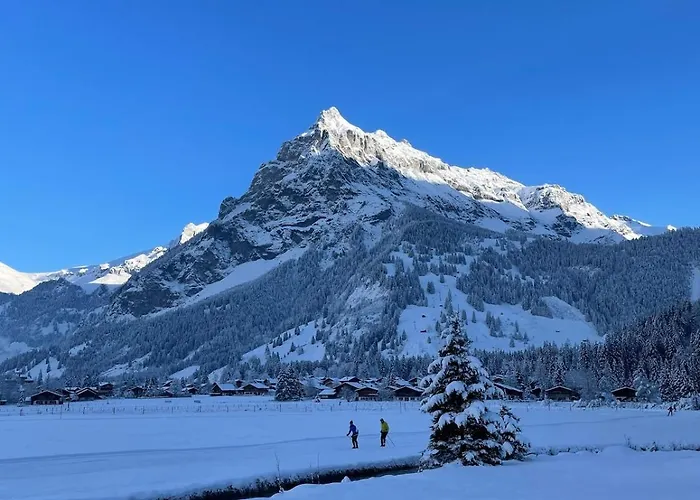 Cute In Διαμέρισμα Kandersteg