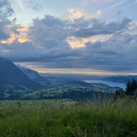 Cute In Apartamento *