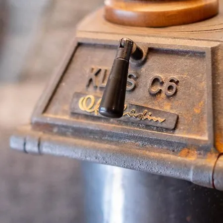 Apartment Cute In