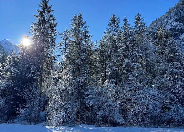 Apartament Cute In *