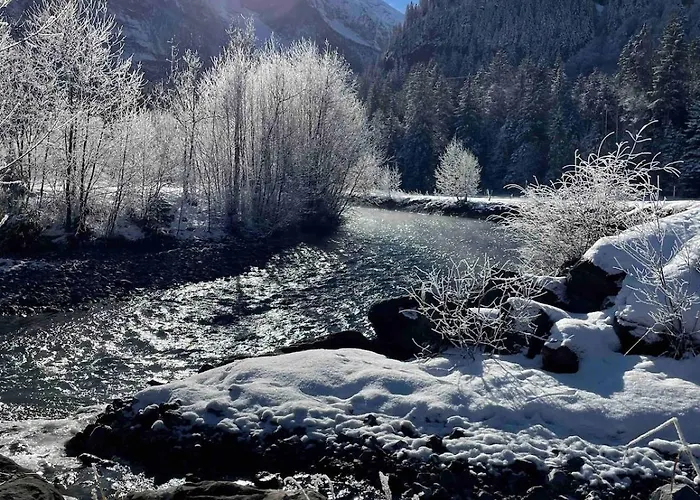 Cute In Apartament Kandersteg